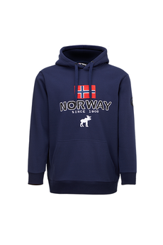 NORWAY FLAG 